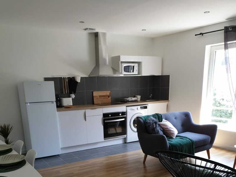 envies de déco vos envies appartement T2 cuisine blanc brillant pièce à vivre style scandinave bois