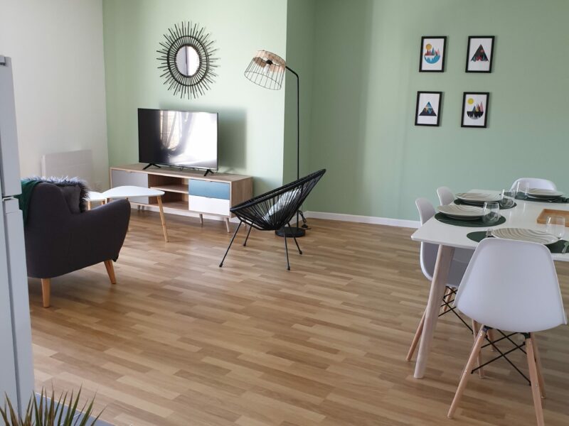 appartement location meublée T2 ambiance scandinave salon vert amande bois agencement décoration aménagement